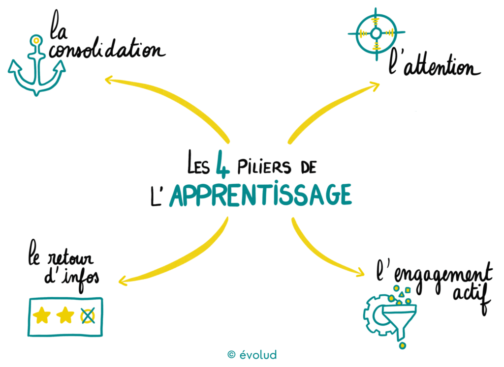 Les 4 piliers de l apprentissage selon Stanislas Dehaene appliqués au serious game